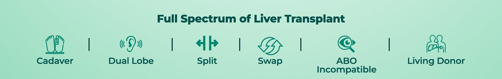 Liver Transplant Our Edge